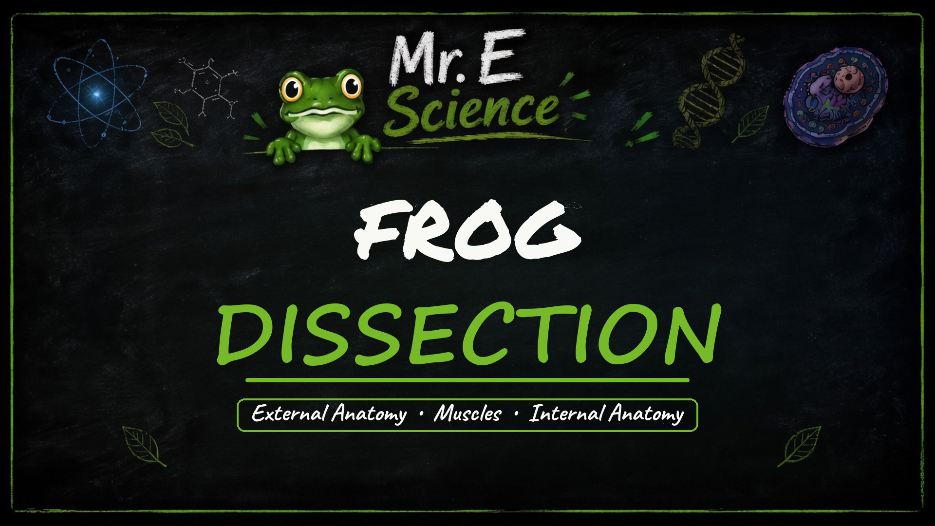 Frog Dissection title card